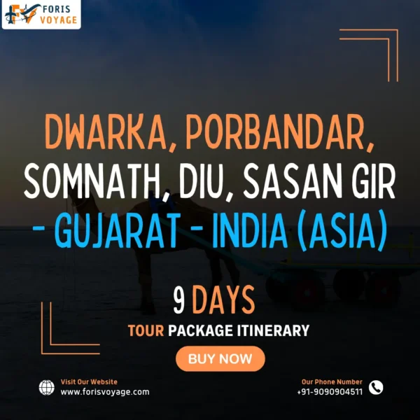 Dwarka, Porbandar, Somnath, Diu, Sasan Gir - Gujarat - India | 9 days (Asia)