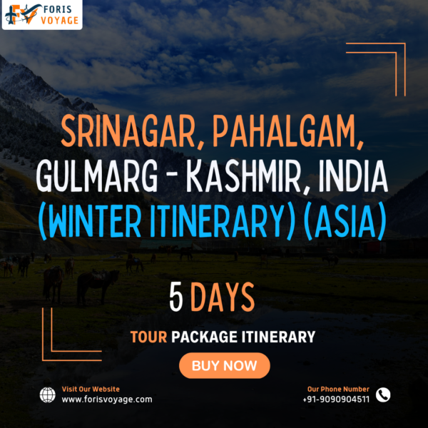 Srinagar, Pahalgam, Gulmarg - Kashmir, India (Winter Itinerary) | 5 days (Asia)
